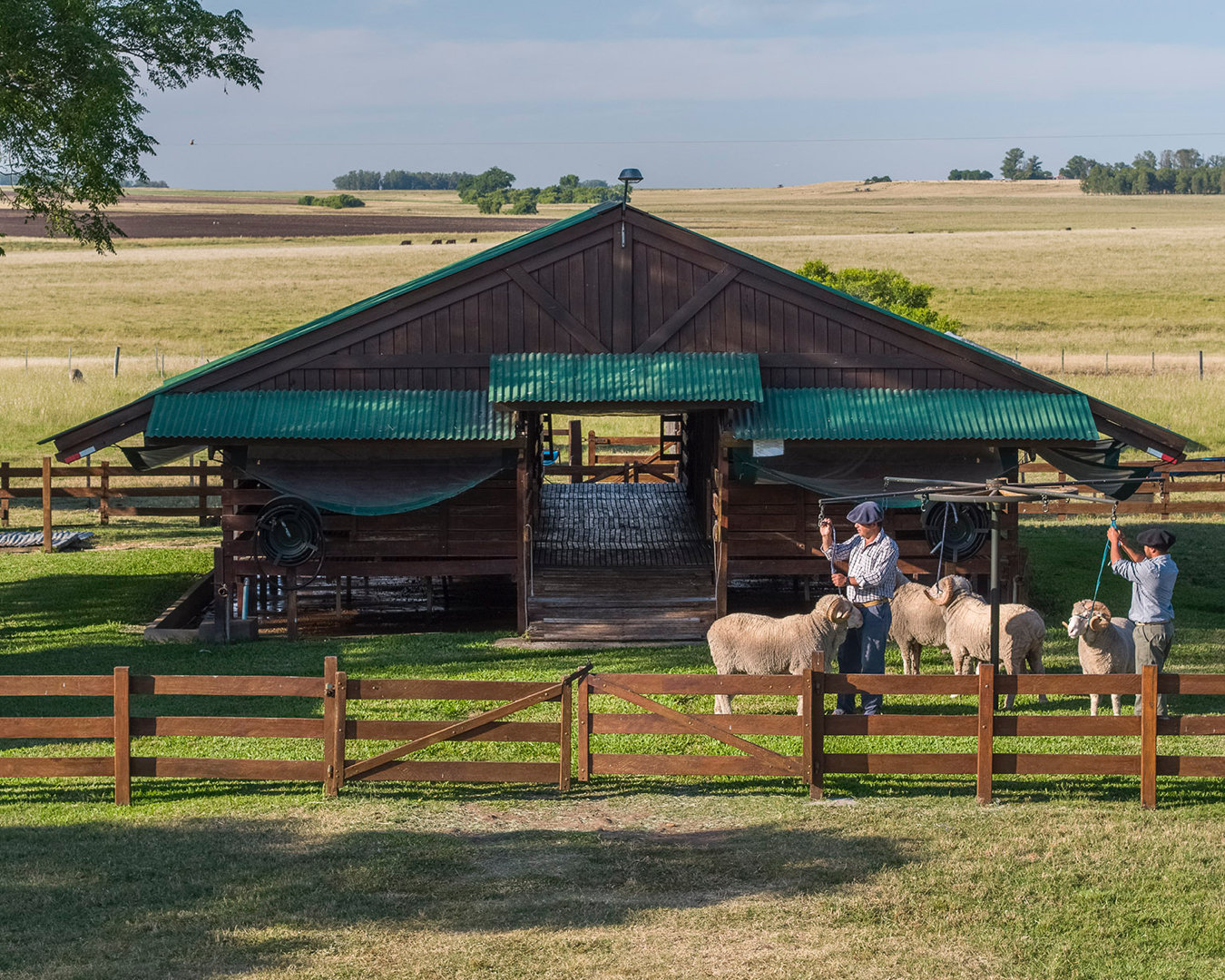La Magdalena farm in Uruguay